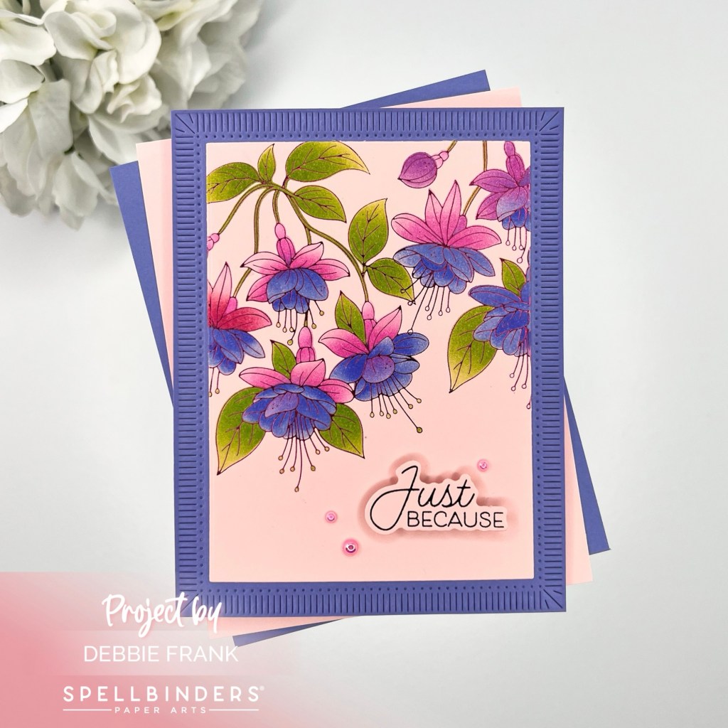 Magical Fuchsias