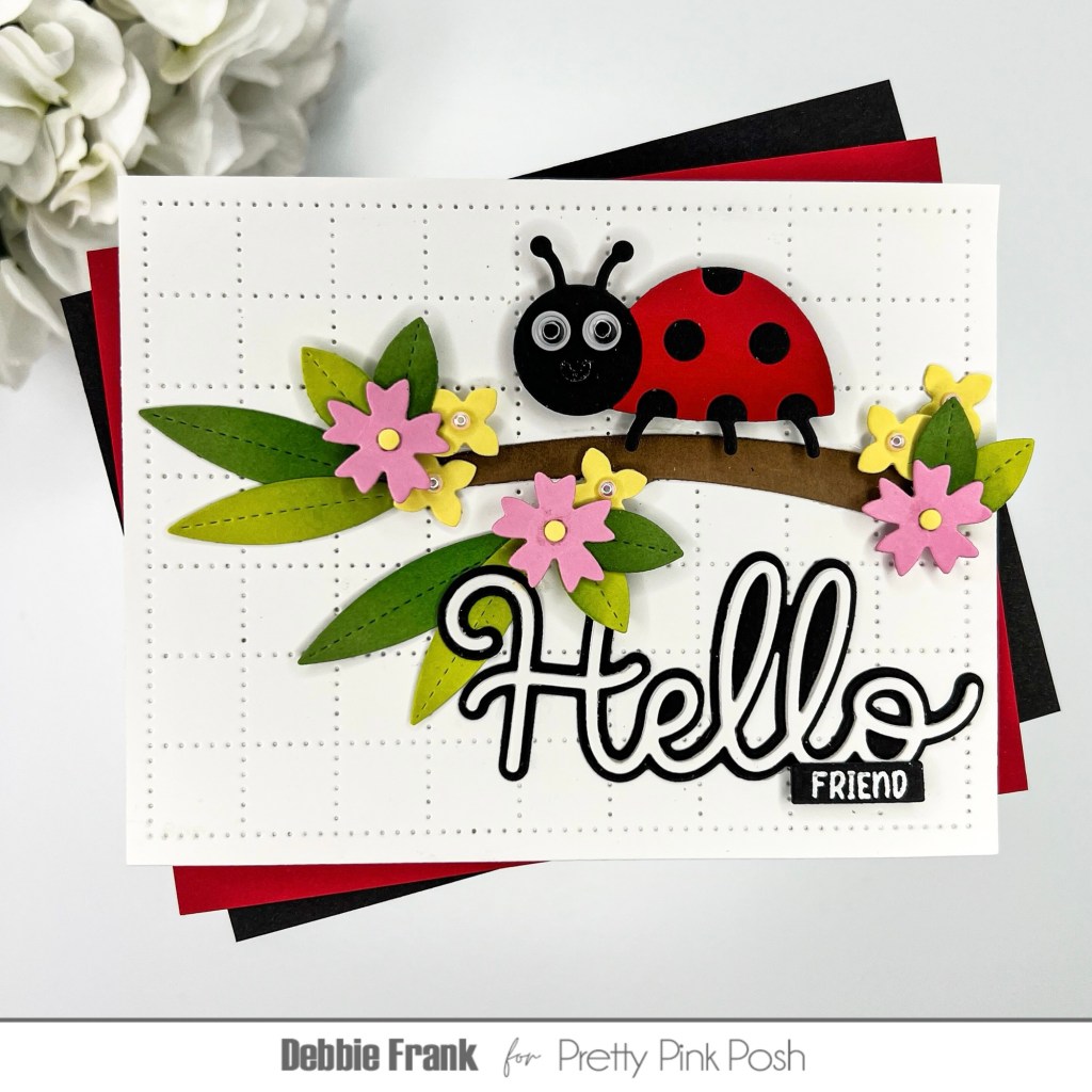 Hello Ladybug