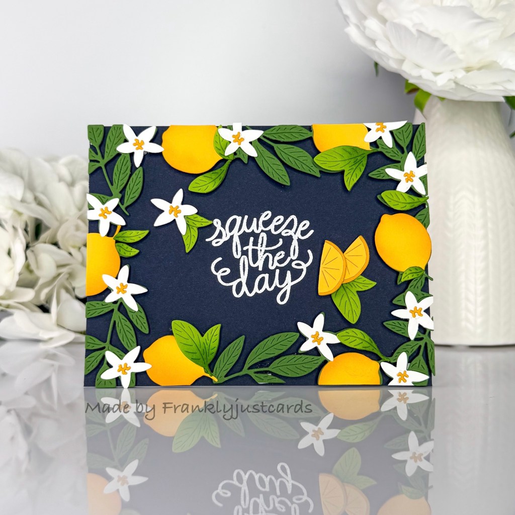 You’re the Zest-My MonthlySuper Hero&nbsp;Kit